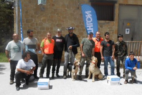 Gombi de Asier Sierra campeon de Bizkaia de Perros de Rastro