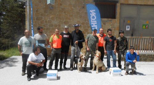 Gombi de Asier Sierra campeon de Bizkaia de Perros de Rastro