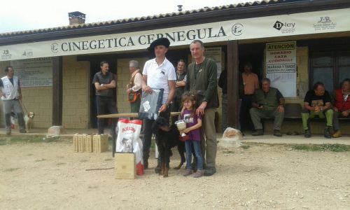 Campeonato de Euskadi de perros de muestra caza práctica CACT