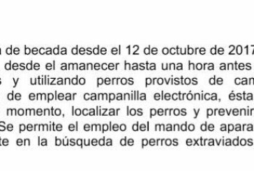 El Gobierno de Navarra plantea eliminar el uso de GPS para la caza de la becada y el campeo libre con perros de muestra durante el mes de febrero