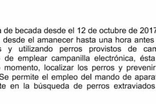 El Gobierno de Navarra plantea eliminar el uso de GPS para la caza de la becada y el campeo libre con perros de muestra durante el mes de febrero