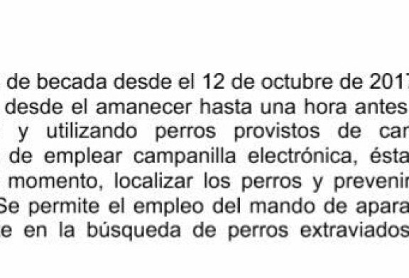 El Gobierno de Navarra plantea eliminar el uso de GPS para la caza de la becada y el campeo libre con perros de muestra durante el mes de febrero