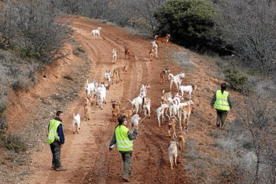 El TSJ rechaza la denuncia de PACMA contra la declaración de la Montería y la Rehala como BIC