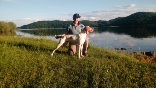 Foto del día: Tin de Txambopointer de Jon Koldo Irazola