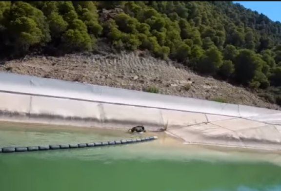 Los bomberos rescatan un jabalí en el Canal de Navarra