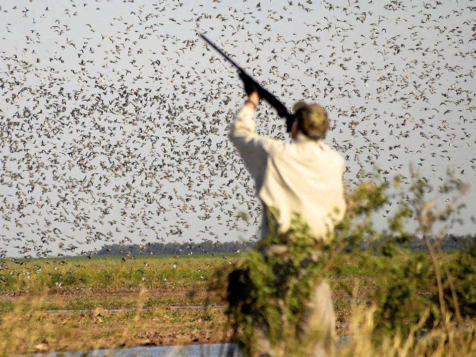 Foto del día: El sueño del cazador