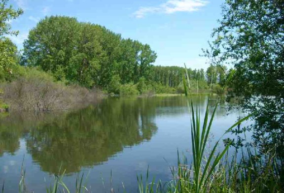 Actuaciones de la Agencia Vasca del Agua ante los vertidos