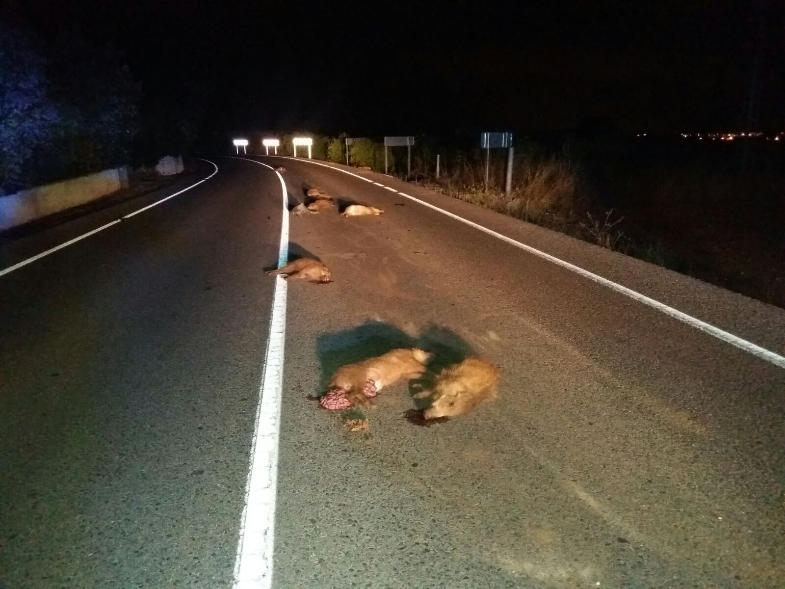 Foto del día: Accidente de trafico