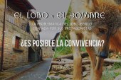 “El lobo y el hombre”: Fundación Artemisan realiza un documental sobre los retos de la gestión del lobo en España