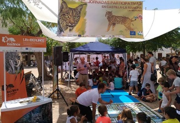 Iberlince organiza jornadas divulgativas en los municipios de reintroducción del lince ibérico en Castilla-La Mancha