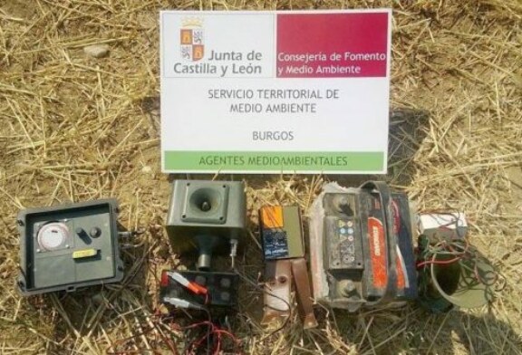 Burgos: Agentes medioambientales detectan el uso de reclamos electrónicos en el inicio de la media veda