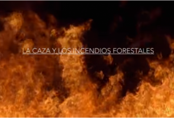 Fundación Artemisan reivindica la actividad cinegética como clave en la prevención de incendios