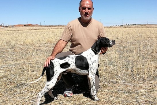 Éxito del equipo de Euskadi en el XXVI Campeonato de España de Caza Práctica – Perros de Muestra