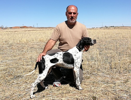 Éxito del equipo de Euskadi en el XXVI Campeonato de España de Caza Práctica – Perros de Muestra