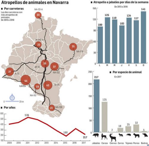 Navarra: Los cazadores valoran no cazar en protesta por los atropellos a jabalíes que les achacan