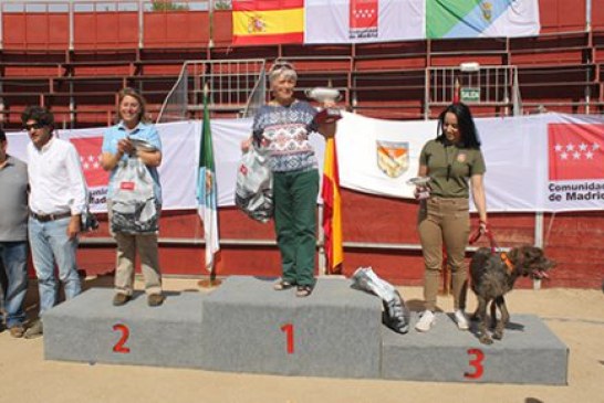 Buena participación del equipo de Euskadi en el campeonato de España de San Huberto