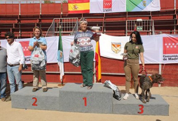 Buena participación del equipo de Euskadi en el campeonato de España de San Huberto