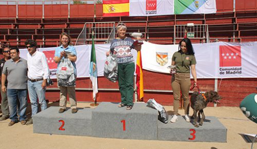 Buena participación del equipo de Euskadi en el campeonato de España de San Huberto