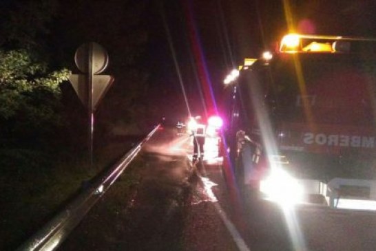 Navarra: Una patrulla de la Policía Foral sufre un accidente con un jabalí en la autovía A-10