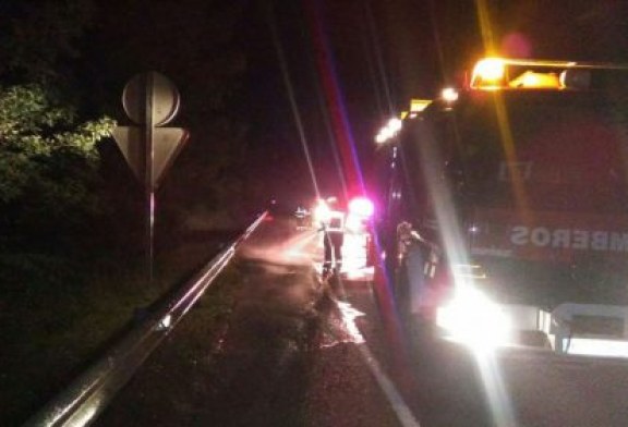 Navarra: Una patrulla de la Policía Foral sufre un accidente con un jabalí en la autovía A-10