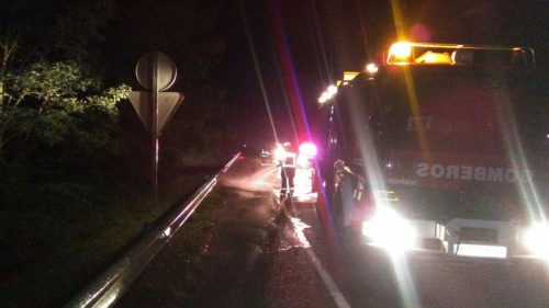 Navarra: Una patrulla de la Policía Foral sufre un accidente con un jabalí en la autovía A-10