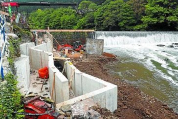 Gipuzkoa: El río Deba cuenta con tres escalas para peces a su paso por Elgoibar