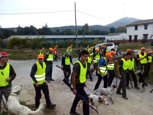 Resultados Campeonato de Euskadi de caza menor con perro