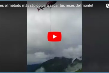 ¡Este es el método más rápido para sacar tus reses del monte!