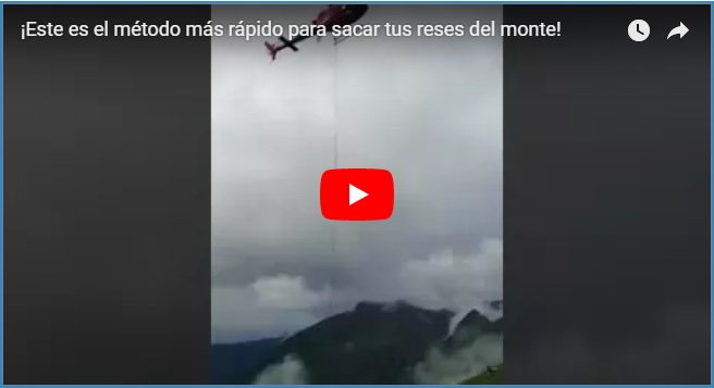 ¡Este es el método más rápido para sacar tus reses del monte!