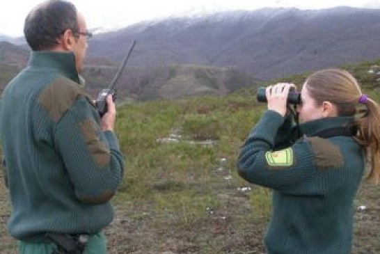 Castilla y León: La federacion solicita más protección para los agentes medioambientales