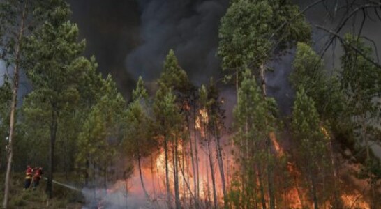 Fundación Artemisan pide a las Administraciones Públicas que recuperen las políticas forestales que “durante siglos” han prevenido los incendios