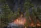 Fundación Artemisan pide a las Administraciones Públicas que recuperen las políticas forestales que “durante siglos” han prevenido los incendios