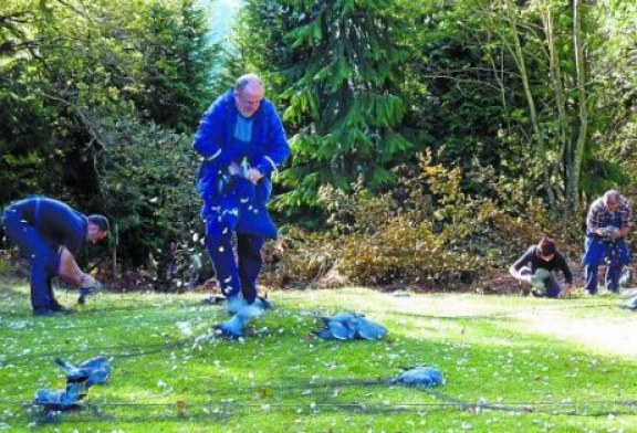 Navarra: Las redes de Etxalar superan las 54 docenas de palomas