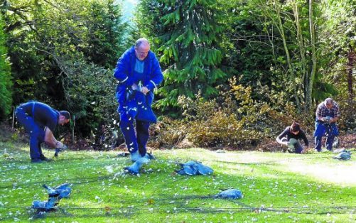 Navarra: Las redes de Etxalar superan las 54 docenas de palomas