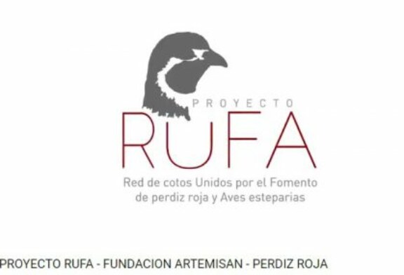 Proyecto RUFA: Objetivo, la recuperación de la Perdiz y otras aves esteparias en España