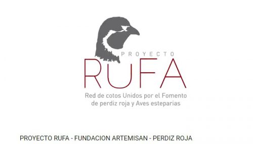 Proyecto RUFA: Objetivo, la recuperación de la Perdiz y otras aves esteparias en España