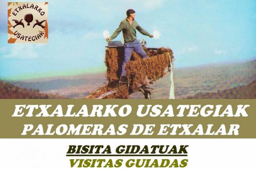 Navarra: 1 de octubre al 20 de noviembre, visitas guiadas a las palomeras de Etxalar