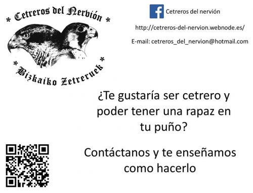 Bizkaia: Interesante iniciativa para conocer la cetrería