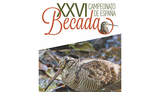 El XXVI Campeonato de España de Becadas se celebrará el 1 y 2 de diciembre, en Almarza de Cameros (La Rioja)
