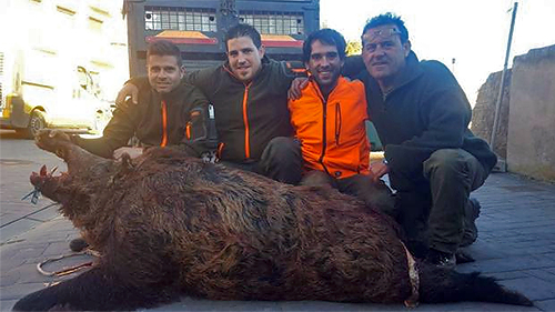 La Rioja: Cazado a cuchillo un jabalí de 165 kilos en Sojuela
