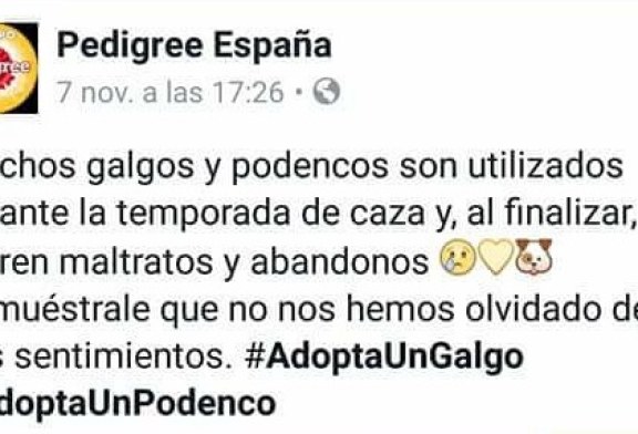 La RFEC y la FEG instan a Pedigree España a retirar el post que acusa a los cazadores de maltratar y abandonar galgos y podencos