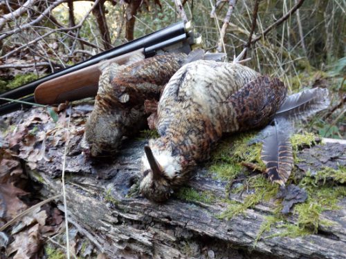 Navarra: ADECANA pide recuperar las competencias exclusivas de caza
