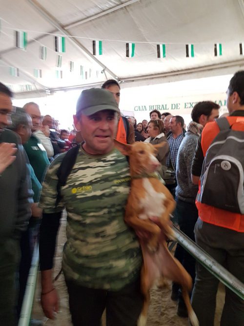 ganador campeonato españa caza menor con perro