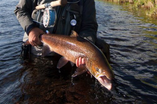 Publicadas la normativas de pesca en Cantabria y Asturias para 2018