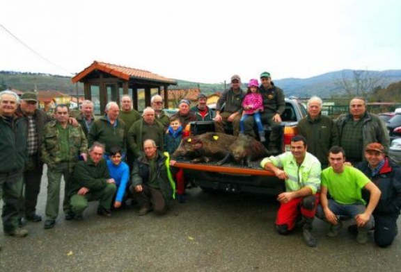 Cantabria: La Reserva de Saja, suma y sigue