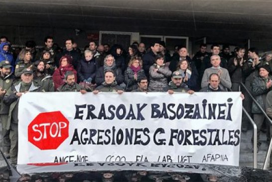 Navarra. Detenido furtivo en Bertiz por amenazar a guarda forestal