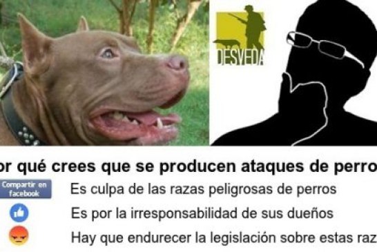 Jauría de perros «potencialmente peligrosos» mata a un agricultor