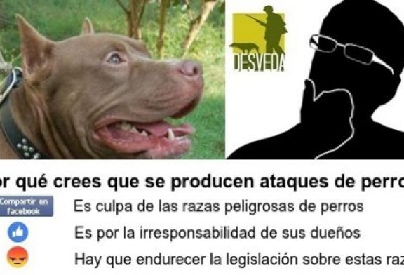 Jauría de perros «potencialmente peligrosos» mata a un agricultor