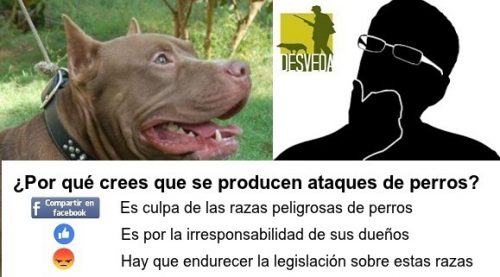 Jauría de perros «potencialmente peligrosos» mata a un agricultor