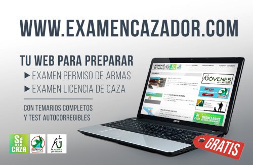 examen